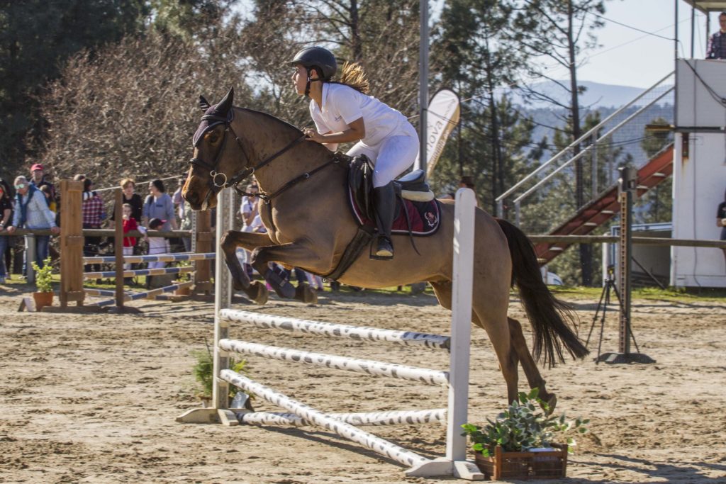 Liga Salto de Obstáculos